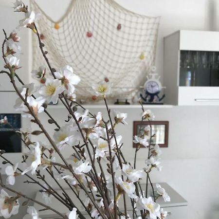 B&B Cagliari Ariosto Eksteriør billede